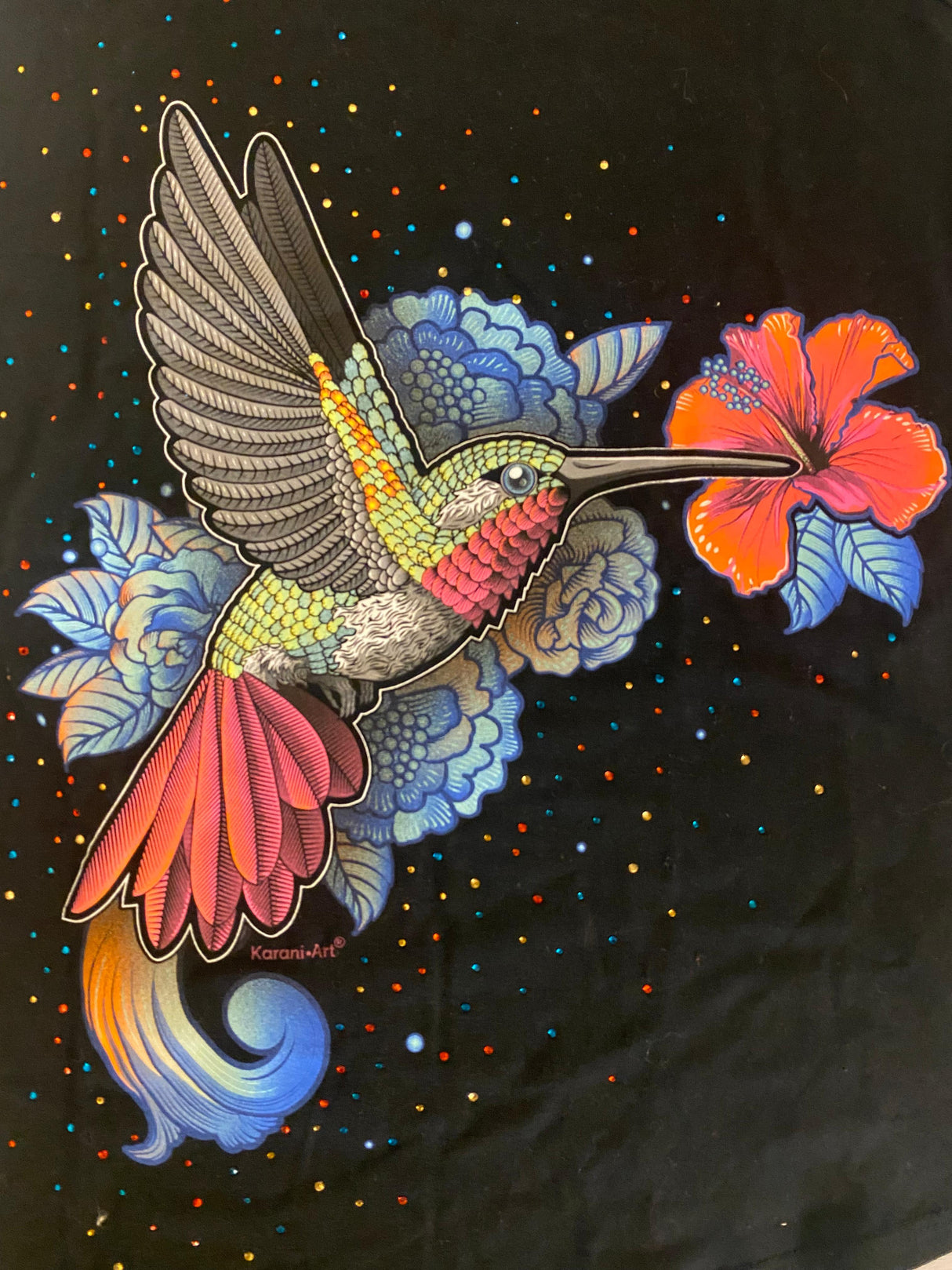 Blusa Asimetrica Colibri ( CH)