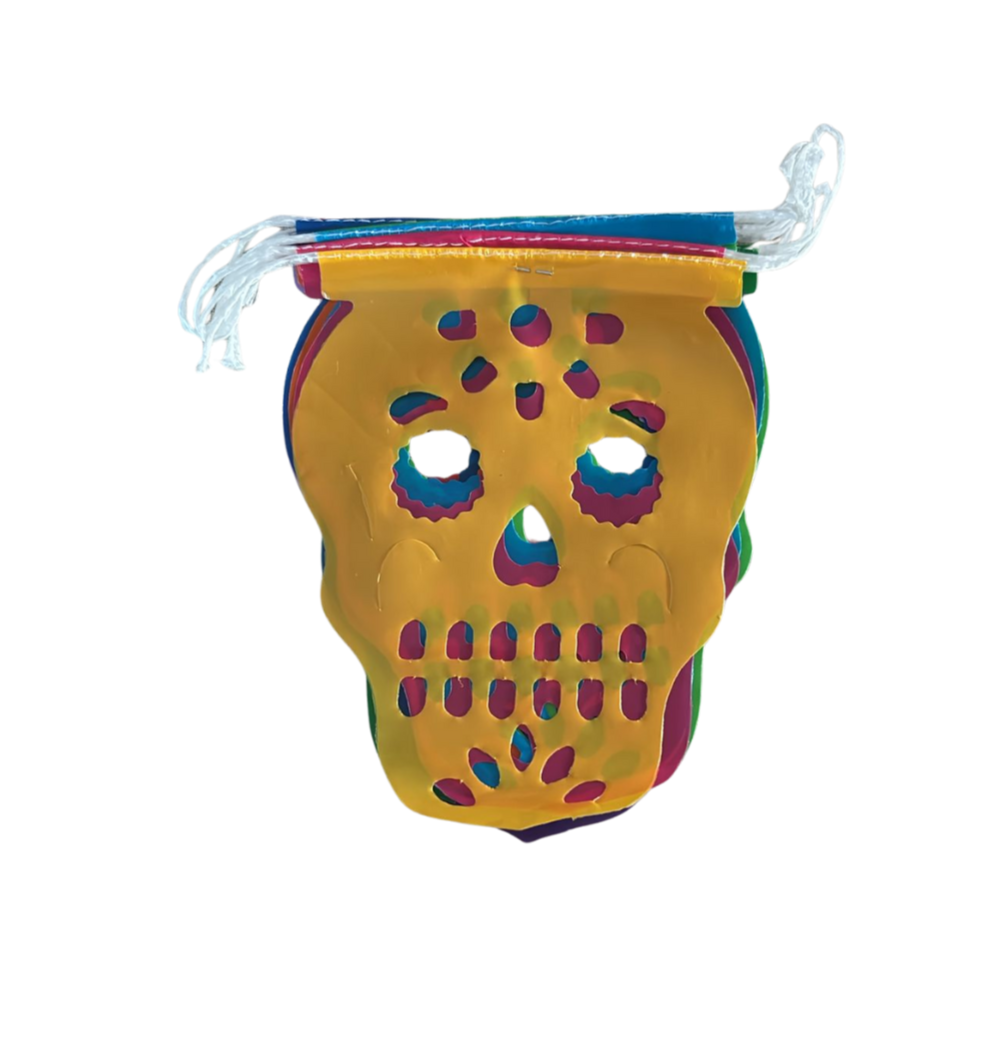 Guia de plastico cráneo pequeño