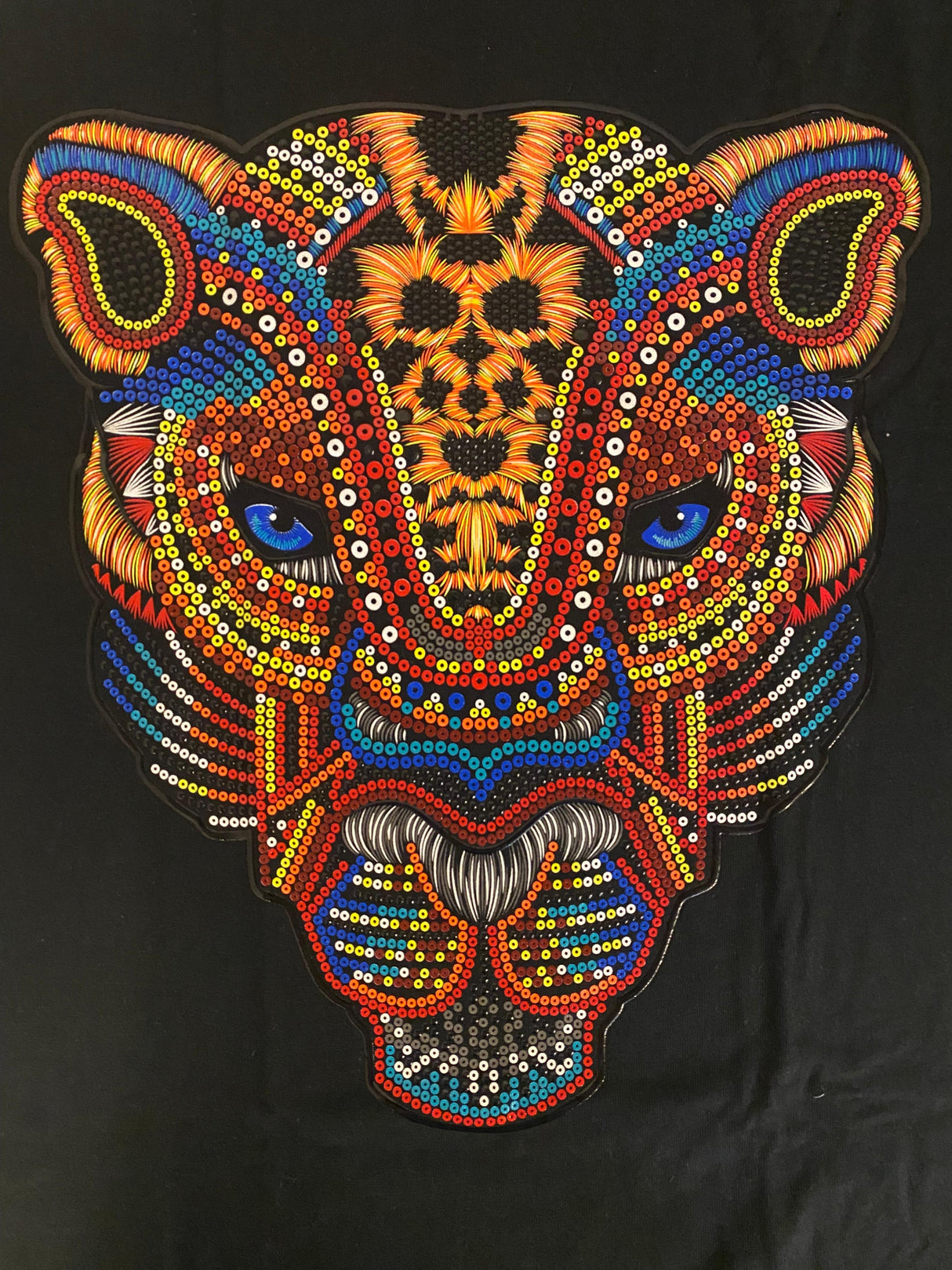 *T-Shirt Camiseta imperio Jaguar Colores (M)