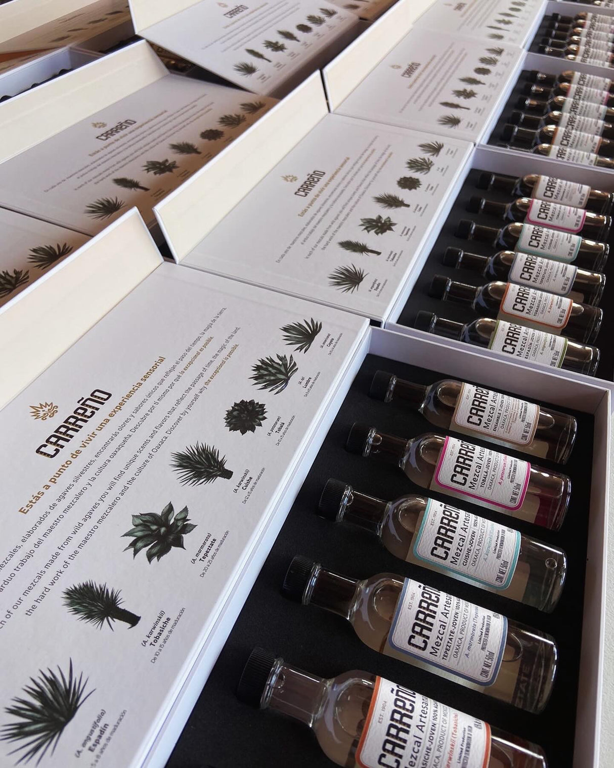 Tasting Set de Mezcal Carreño (46% ABV)