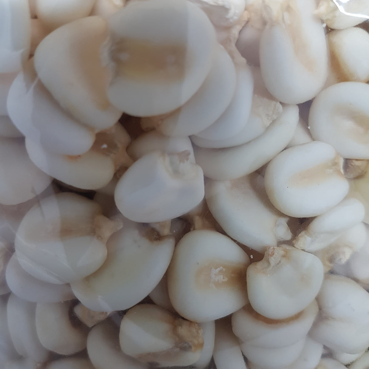 Maiz Mote 500 g EL PLEBEYO