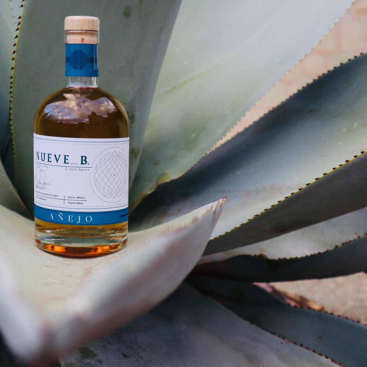 Tequila Añejo 700 ml - NUEVE B