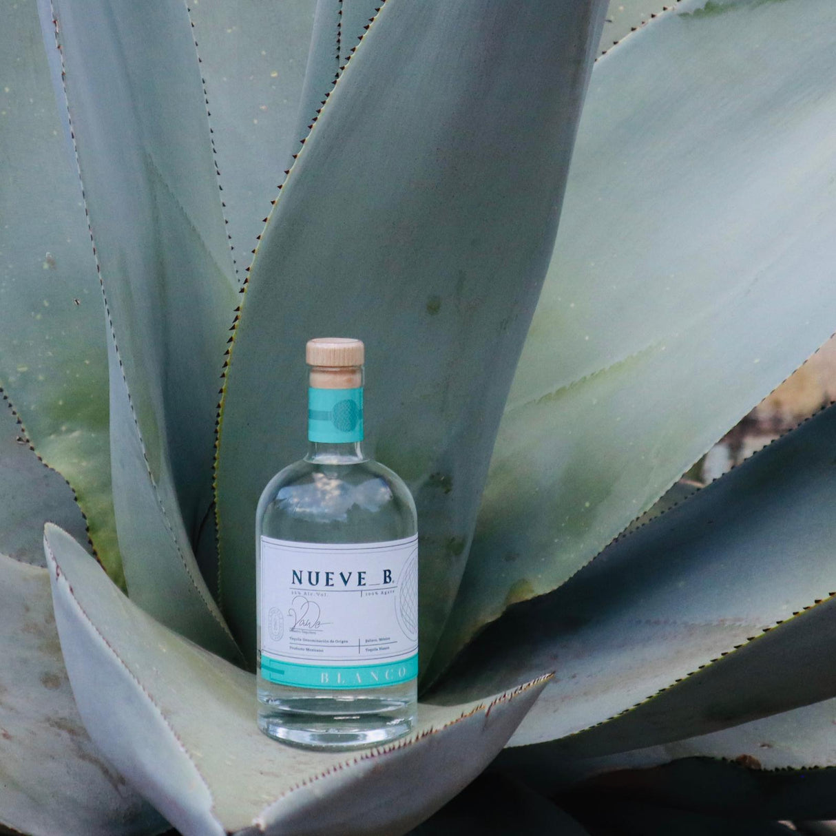 Tequila Blanco 700 ml - NUEVE B