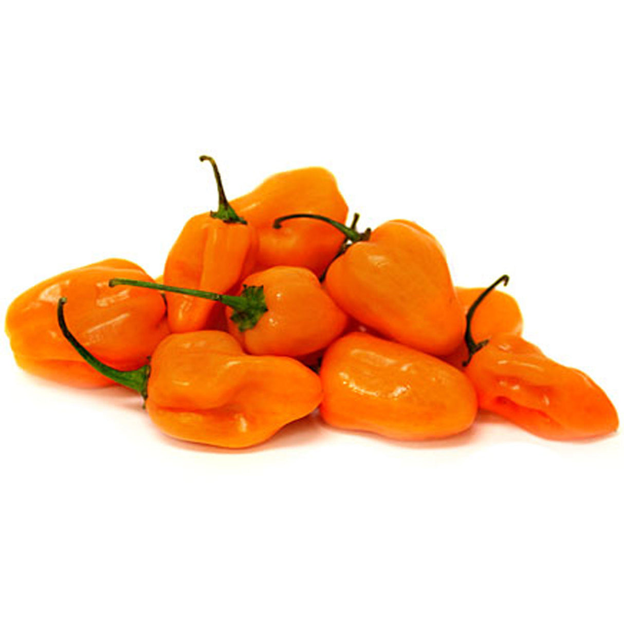 (Hb) Chile Habanero Fresco (1000 gr - 500 gr)