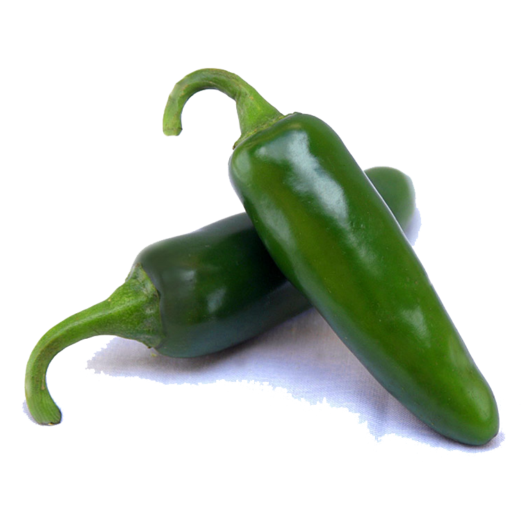 Chile Jalapeño Fresco (Puede ser rojo dependiendo de la temporada) (Je nach Jahreszeit kann es rot sein)