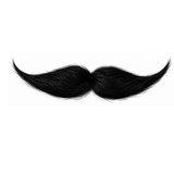 Bigote Mexicano Falso