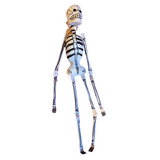 Esqueleto de Papel Mache 30 cm