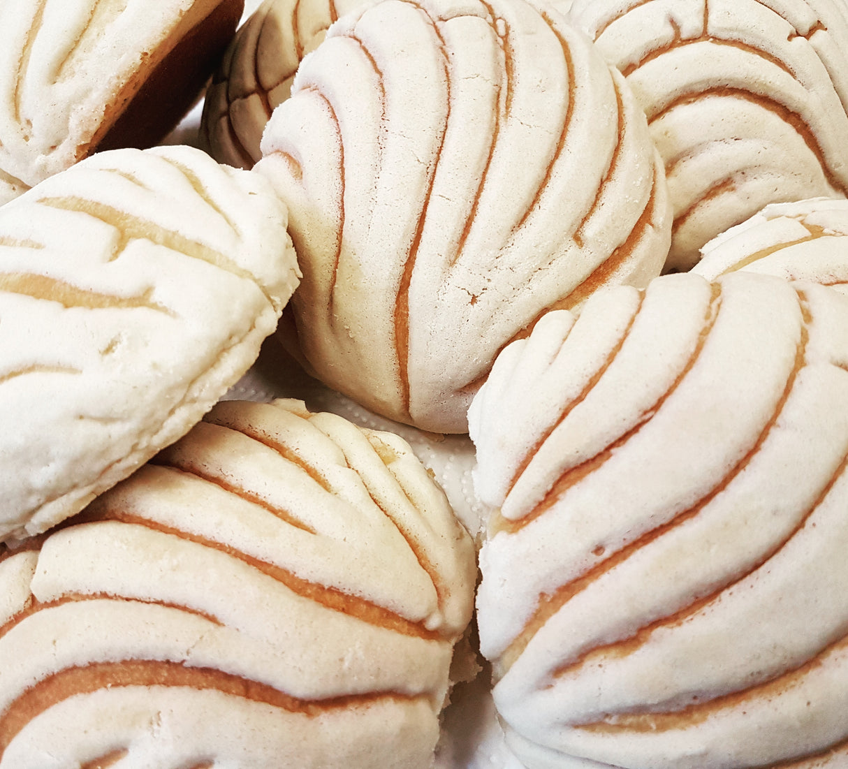 Conchas Pan tradicional Mexicano